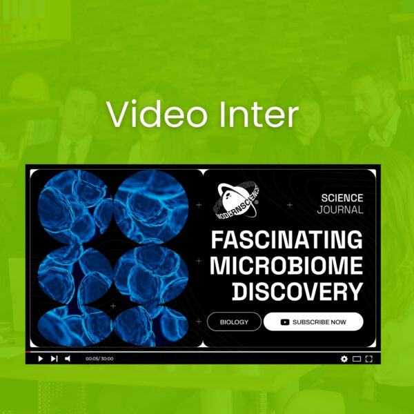 Video Inter